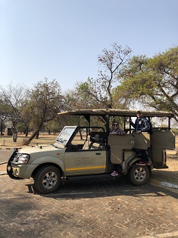 Pilanesberg morning safari and Ukutula walking with lions