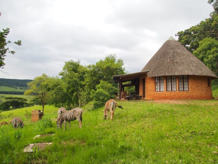 Swaziland Eswatini Tours