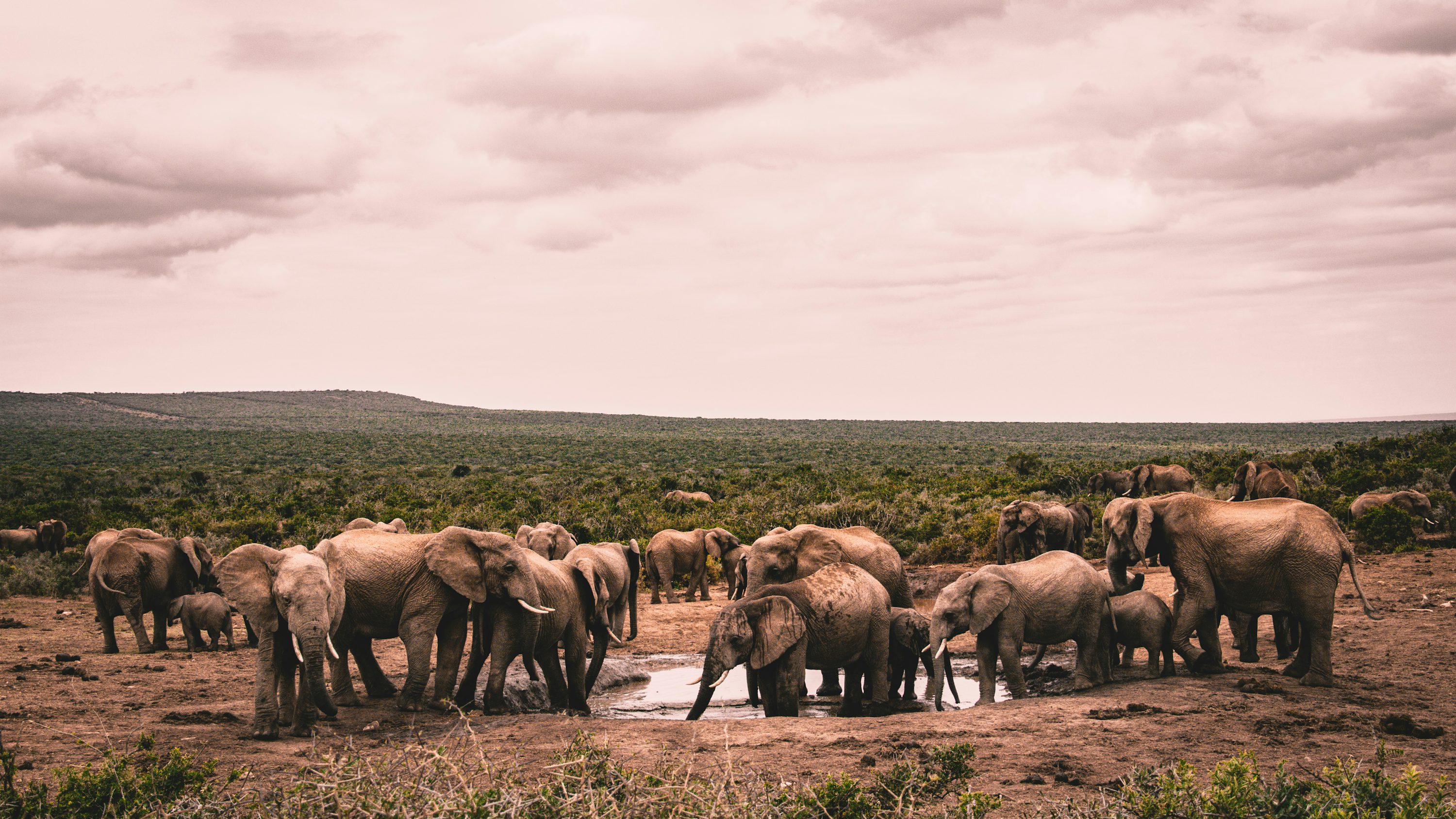 Namibia Botswana Victoria Falls Safari