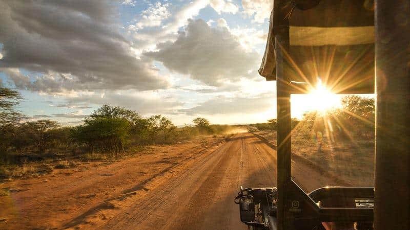Open vehicle game drive in Kruger National Park