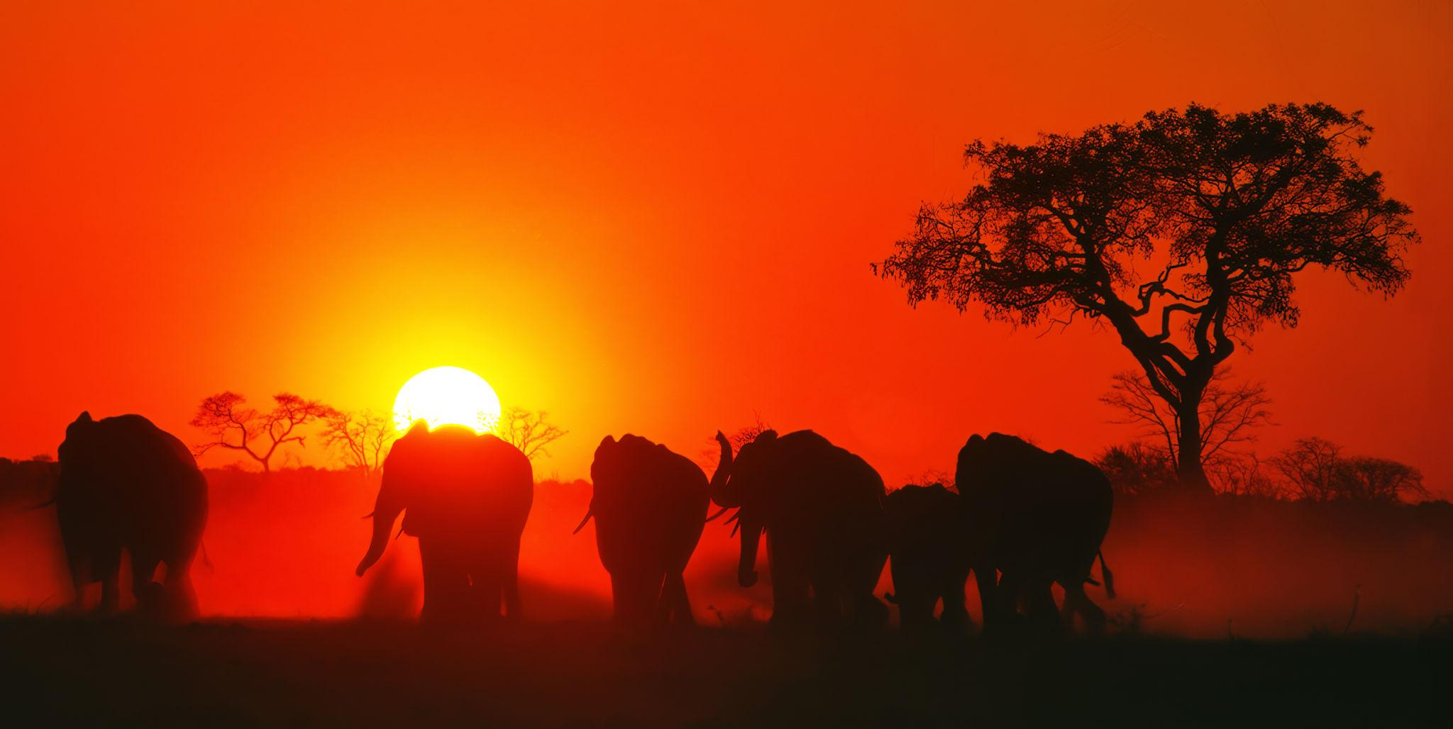Kruger Safari Sunset